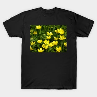 Buttercups T-Shirt